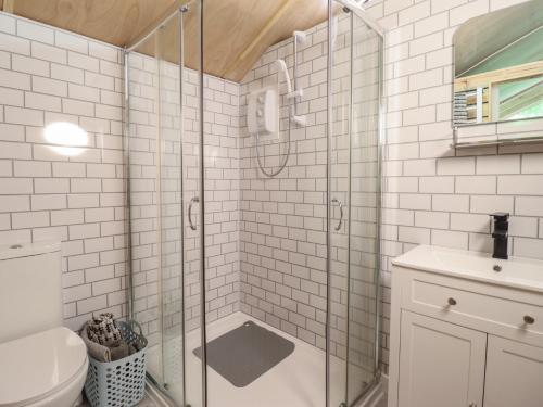a bathroom with a shower with a toilet and a sink at Owl Valley Cabin in Oswestry