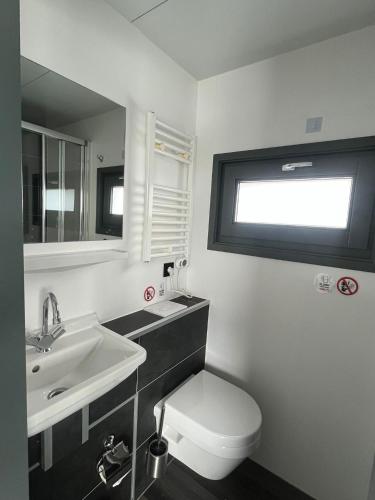 a bathroom with a white toilet and a sink at Houseboat De Amstel in Monnickendam