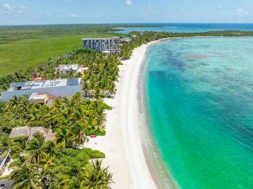 an aerial view of a beach with palm trees and the ocean at Elements Rituals Beachfront Bahia Soliman Tulum in Tulum