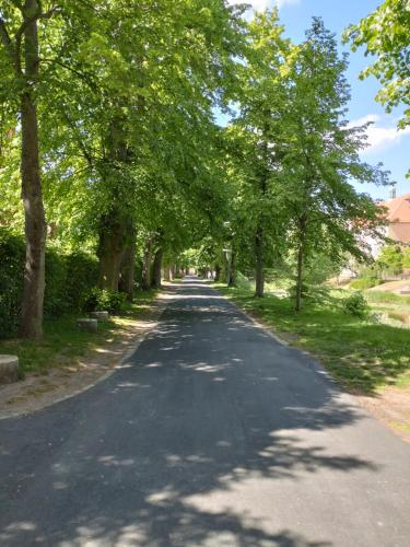 a tree lined road with trees on either side at Apartment Wallblick in Nienburg
