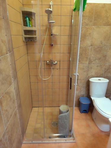 a shower with a glass door next to a toilet at brezza marina in Siderno Marina