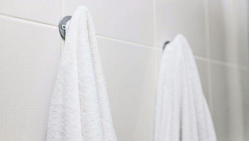 a white towel hanging on a wall in a bathroom at Magnuson Hotel Fowlerville in Fowlerville