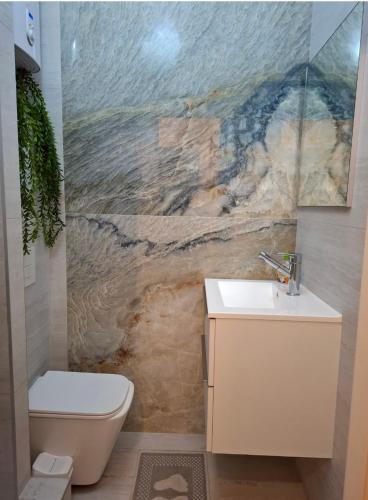 a bathroom with a toilet and a sink at Central Apartment Facing the Cathedral in Chişinău