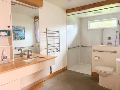 a bathroom with a sink and a shower at Cedar Peak - Design-Forward Barrier-Free Chalet in Grand-Etang