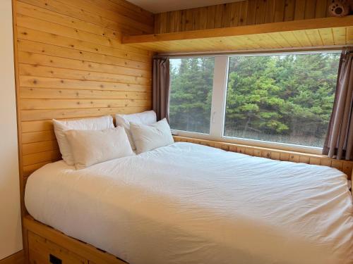 a bed in a wooden room with a window at Cedar Peak - Design-Forward Barrier-Free Chalet in Grand-Etang
