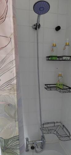 a shower in a bathroom with a shower curtain at Kingfisher Cottage Wales in Llanidloes