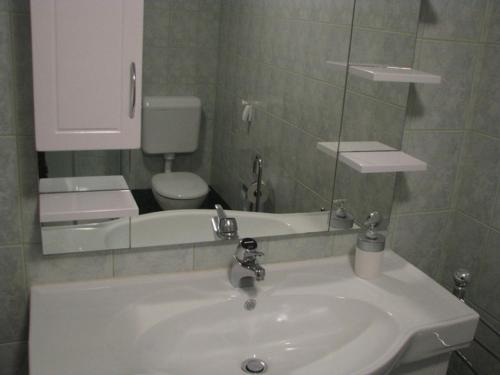 a bathroom with a sink and a toilet and a mirror at Apartment Marinka in Bled