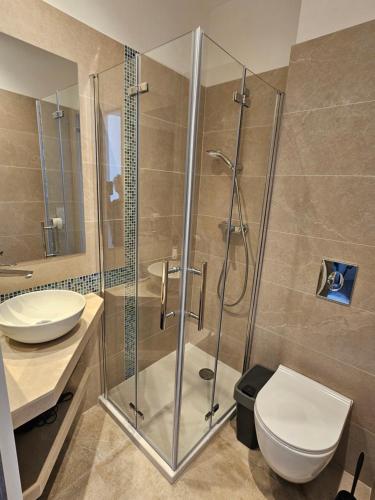 a bathroom with a shower and a toilet and a sink at Appartements sur l'ile de Porquerolles in Porquerolles