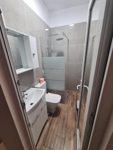 a bathroom with a toilet and a sink and a shower at Rusu Sirianu rooms in Timişoara