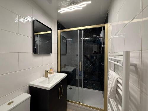 a bathroom with a shower and a sink at The Ship Inn's Cabin in Gatehouse of Fleet