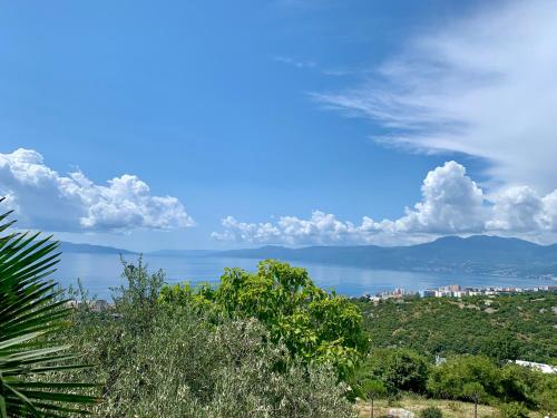 Seashell apartment 2 Bedrooms with sea view