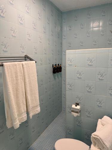 a bathroom with blue tiled walls and a toilet and towels at Casa Flores in Río Blanco