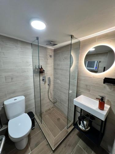 a bathroom with a shower and a toilet and a sink at Drama Homes Argiroudi in Drama