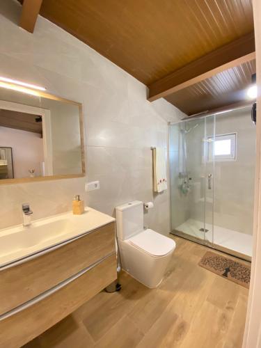 a bathroom with a toilet and a sink and a shower at El Nidito del valle del Tietar in La Iglesuela