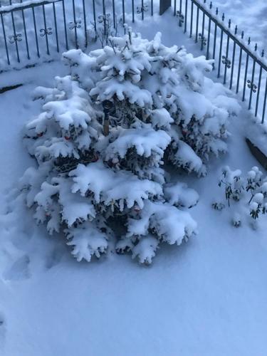 Zimorodek poczuj z nami magię Karpacza durante el invierno