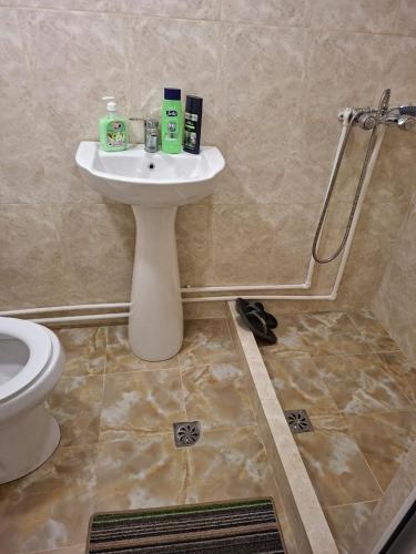 a bathroom with a sink and a toilet at Адами Драхт in Garni