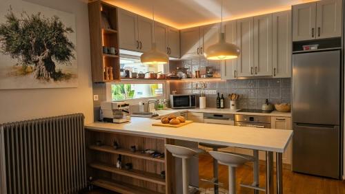 2BD Unique Pangrati Apt With Parking Kallimarmaro
