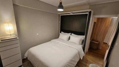 2BD Unique Pangrati Apt With Parking Kallimarmaro