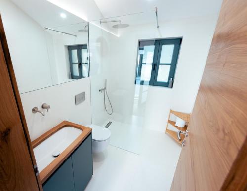 a bathroom with a sink and a toilet and a mirror at Villa Eva in Ajdovščina