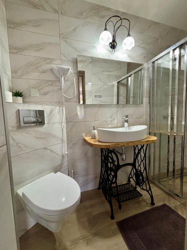 a bathroom with a toilet and a sink at Dunajecki Zakątek z Jacuzzi in Biały Dunajec