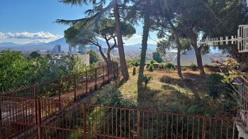 Apartment Paradise VesuView