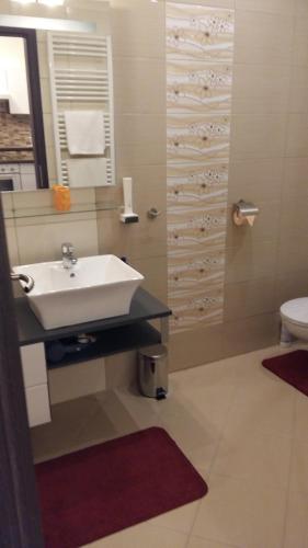 a bathroom with a sink and a toilet at Isabell Apartments Győr in Győr