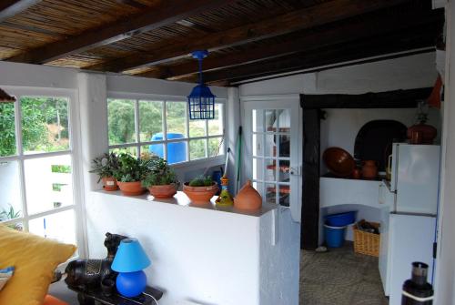 una cocina con macetas en un estante en Monte das Silveirinhas - Casa Rural, en Silveiras