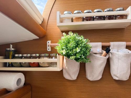 a bathroom with two plants in bags and towels at ΡΕΝΤ ΜΕ ΟΥΤ Σιμπα in Kavála