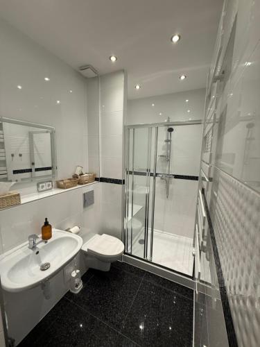 a bathroom with a shower and a toilet and a sink at Apartamenty Stare Podwórko in Pilica