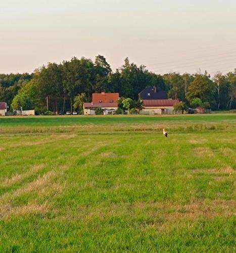 Gallery image of Ferienhaus mit alten Scharm in Ozimek