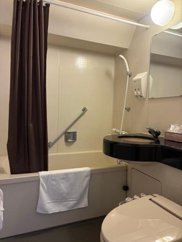a bathroom with a toilet and a mirror at HOTEL Dane&Kerry DogResort in Ishioka