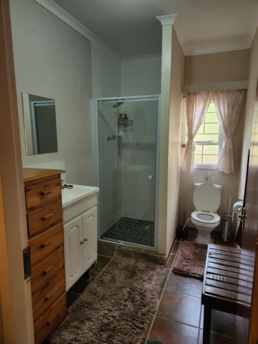 a bathroom with a shower and a toilet and a sink at Pink Pepper Yard in Uniondale