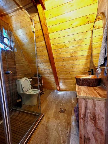 a wooden bathroom with a toilet and a sink at Vila Mila in Vlaška
