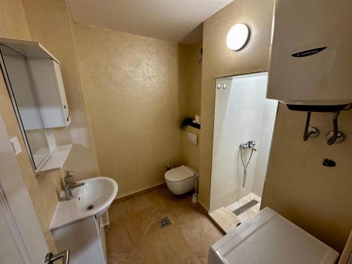 a small bathroom with a toilet and a sink at Liberty Apartments in Cetinje