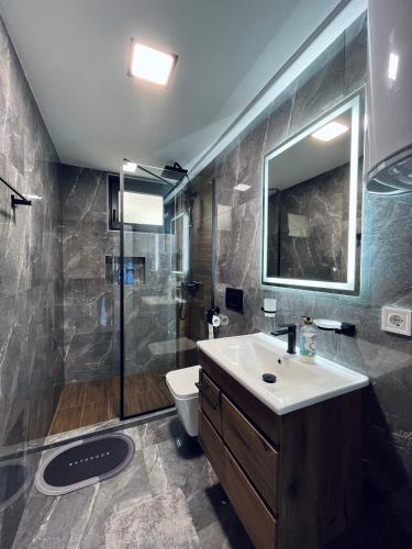 a bathroom with a sink and a shower and a toilet at Asteris Apartments in Demir Kapija