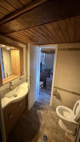 a bathroom with a toilet and a sink and a mirror at Camaraki Hill House Serifos in Serifos Chora