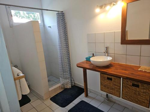 a bathroom with a sink and a shower at Paradies Caraïbes I in Les Abymes