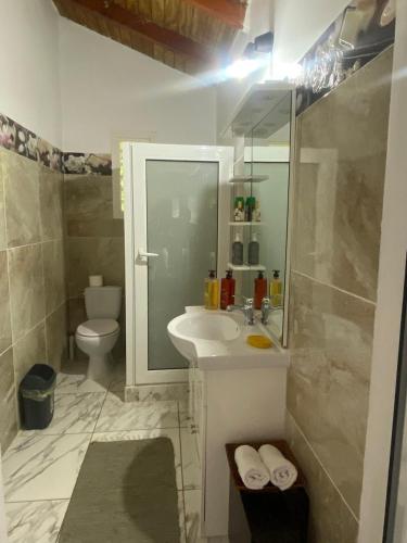 a bathroom with a sink and a toilet at VillaBadlou "Lodge Ti-Kaco Vanille" in Trois-Rivières
