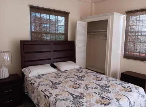 a bedroom with a large bed and two windows at Prospect Loft in Kingstown