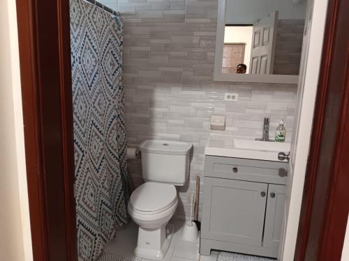 a small bathroom with a toilet and a sink at Prospect Loft in Kingstown