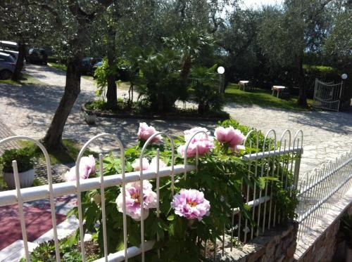 a fence with pink flowers in a garden at Hotel Rabay in Brenzone sul Garda