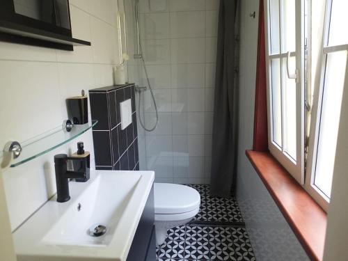 a bathroom with a white toilet and a sink at Vechtdal Chalet de Berk in Rheezerveen