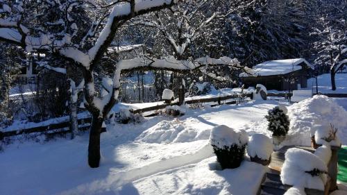 a snow covered yard with a bench and a tree at Haus Binder in Ried im Zillertal