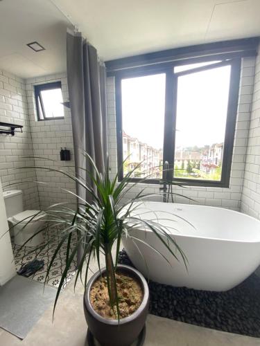a bathroom with a bath tub and a potted plant at Silvan Garden Retreat in Tanah Rata