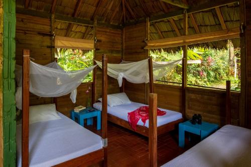 a room with two bunk beds in a cabin at Hotel Pijibá Lodge in Nuquí