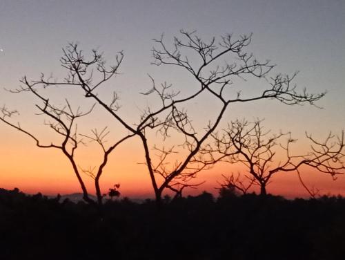 a silhouette of trees with a sunset in the background at SEE CHAIN Resort in Digana