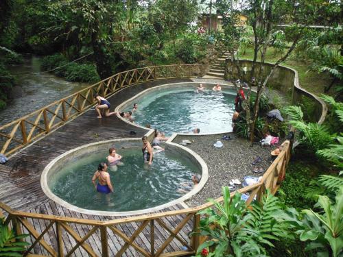 a group of people in a pool in a garden at Hotel Pijibá Lodge in Nuquí