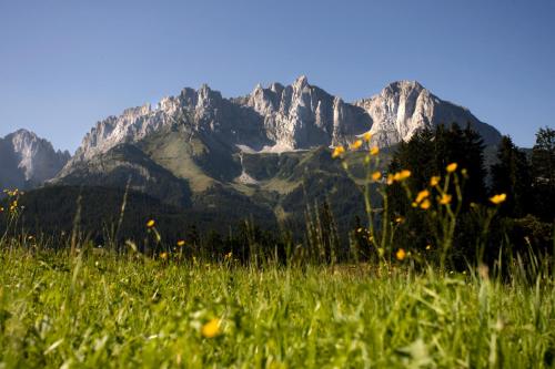 a field of grass with a mountain in the background at Berghof Haselsberger in Sankt Johann in Tirol