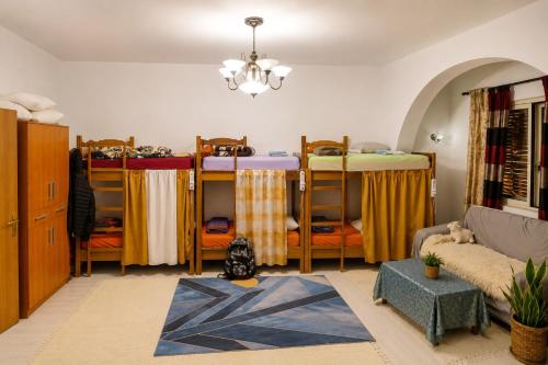 a room with four bunk beds and a couch at Backpackers Durres in Durrës