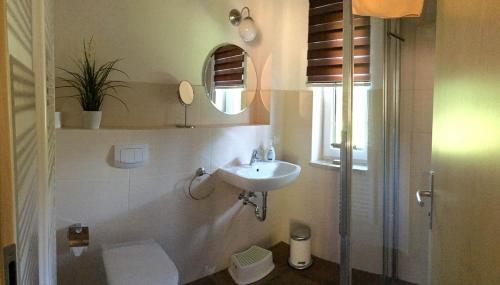 ein Badezimmer mit einem Waschbecken, einem WC und einem Spiegel in der Unterkunft Ferienhof Radlerslust in Großkoschen